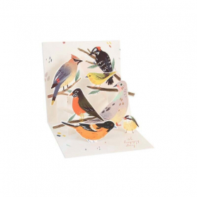 Backyard Birds|Up With Paper