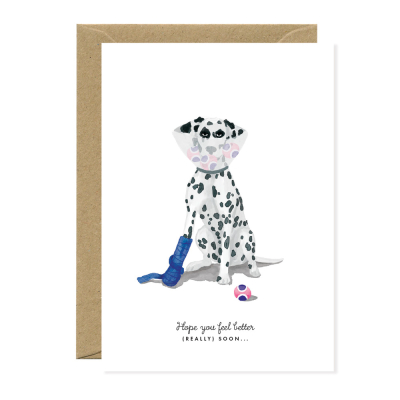 Feel Better Dog|All The Ways To Say