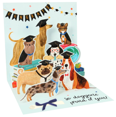 Grad Dogs|Up With Paper