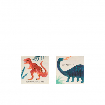 Dinosaur Kingdom Small Napkins|Meri Meri