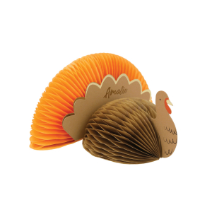 Turkey Place Cards|Meri Meri