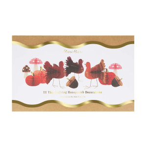 Mixed Thanksgiving Honeycomb Decorations|Meri Meri