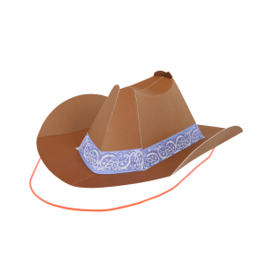 Mini Western Party Hats|Meri Meri