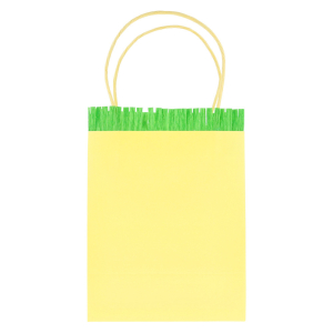 Bright Fringed Party Bags|Meri Meri