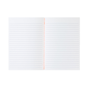 Striped Softcover Boxed Notebooks|Meri Meri