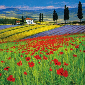 Field Of Dreams Classics