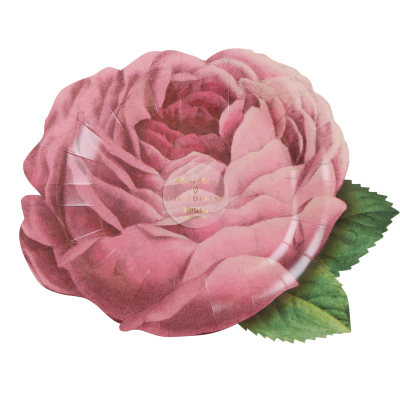 Meri Meri x John Derian Pink Rose Plates|Meri Meri