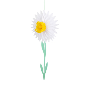 Easter Fair Honeycomb Decorations|Meri Meri