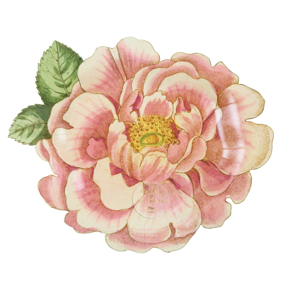 Meri Meri x John Derian Rosa Plates|Meri Meri