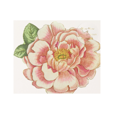 Meri Meri x John Derian Rosa Napkins|Meri Meri