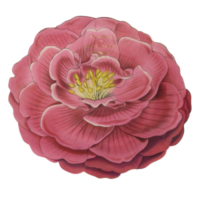 Meri Meri x John Derian Camellia Plates|Meri Meri