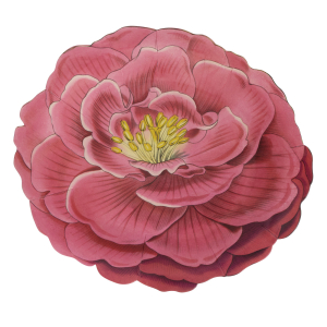 Meri Meri x John Derian Camellia Plates|Meri Meri
