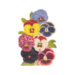 Meri Meri x John Derian Scrapbook Pansy Napkins|Meri Meri