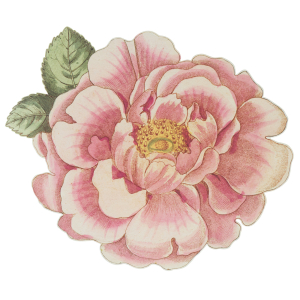Meri Meri x John Derian Rosa Paper Placemats|Meri Meri