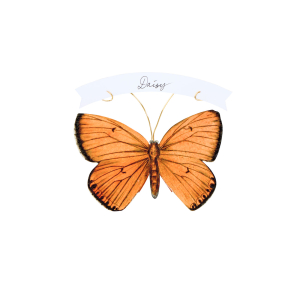 Meri Meri x John Derian Butterfly Place Cards|Meri Meri