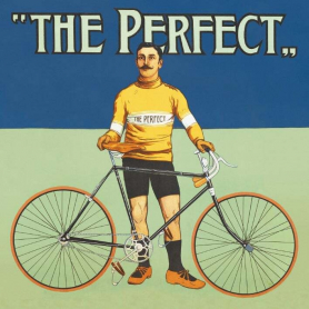 The Perfect Bicycle