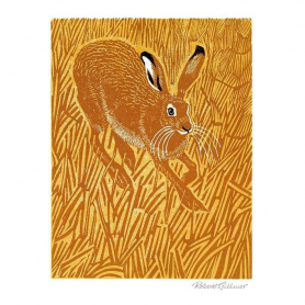 Stubble Hare