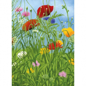 Summer Along The Riverbank