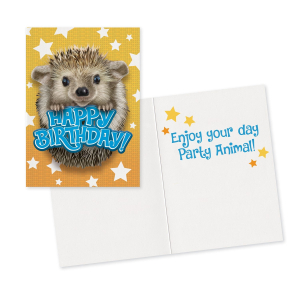 Hedgehog Card|Peaceable Kingdom
