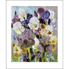 May Flowering Irises