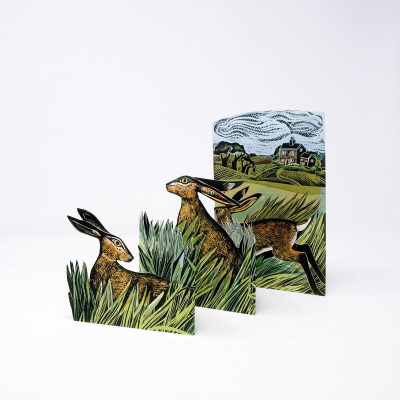 Hare And Open Fields