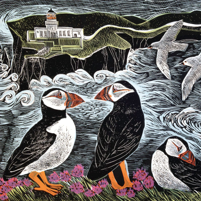 Fair Isle Puffins At The North Lighthouse