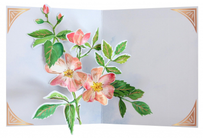 Seed Packet|UWP Luxe