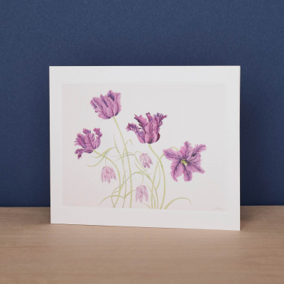Parrot Tulips And Fritillaries|Art Angels