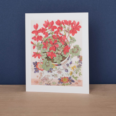 Pelargonium In Floral Cup|Art Angels