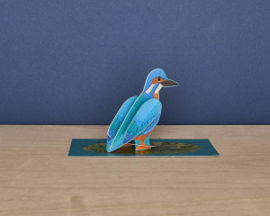 Pop Out Kingfisher Die Cut|Art Angels