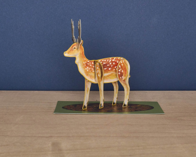 Pop Out Fallow Deer Die Cut|Art Angels