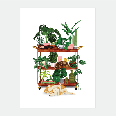 Plant Shelf Print Med|All The Ways To Say