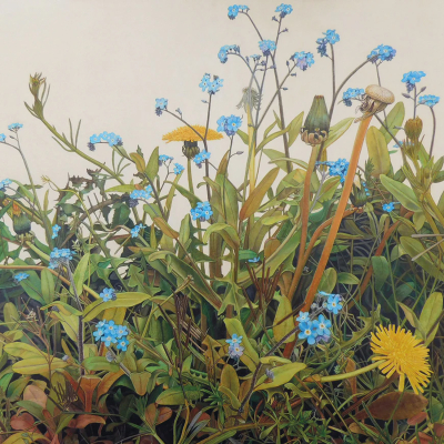 Verge Weeds