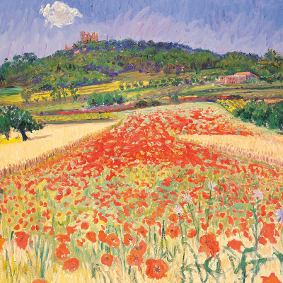 Poppy Fields
