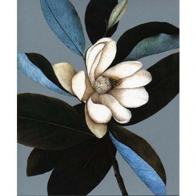 Magnolia