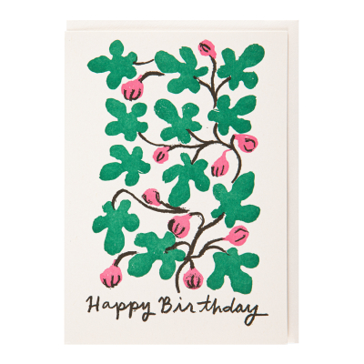 Birthday Figs