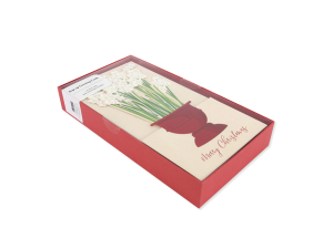 Paperwhites Boxed Set|Up With Paper