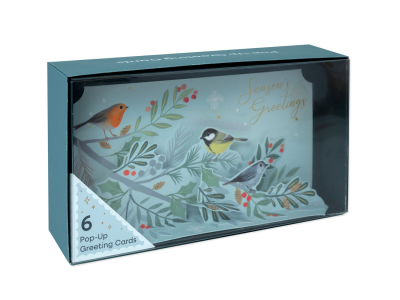 Winter Birds Boxed Set|Up With Paper