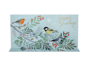 Winter Birds Boxed Set|Up With Paper