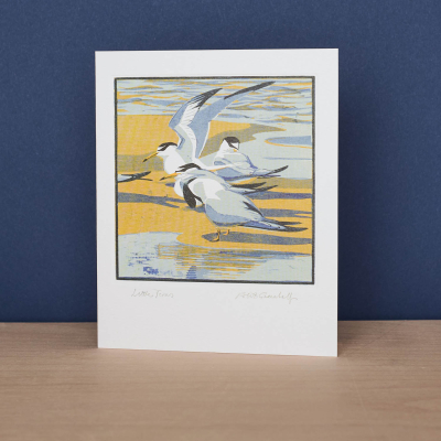 Little Terns|Art Angels