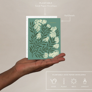 Grateful Thank You Card|Seedlings