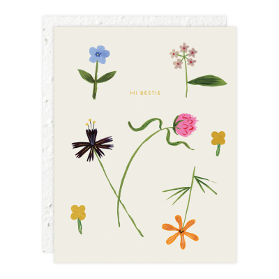 Quirky Petals Just To Say Hi Card|Seedlings