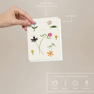 Quirky Petals Just To Say Hi Card|Seedlings