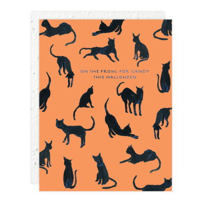 Black Cats Halloween Card|Seedlings