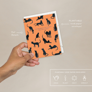 Black Cats Halloween Card|Seedlings
