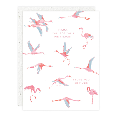 Flamingos Love + Friendship Card|Seedlings