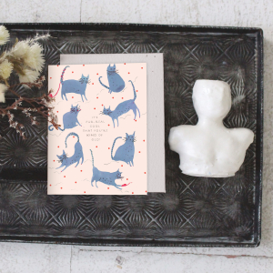 Playful Cats Birthday Card|Seedlings