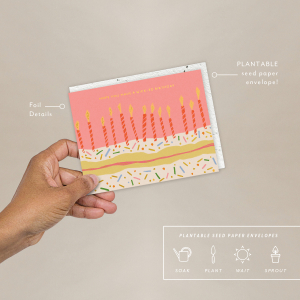 Candle Wishes Birthday Card|Seedlings
