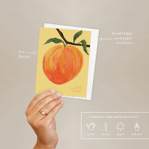 Peach Thank You Card|Seedlings