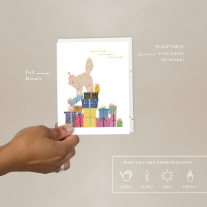 Purrfect Presents Birthday Card|Seedlings